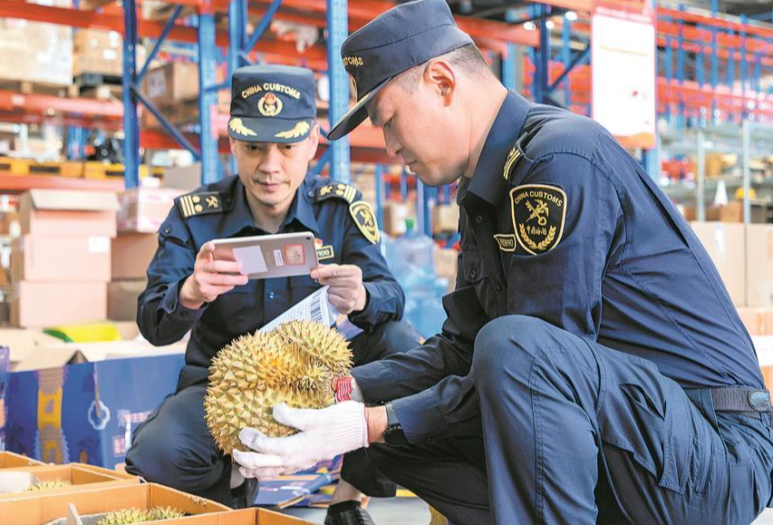水果生鲜海南报关