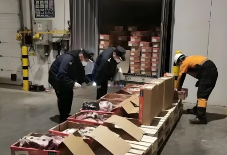 海南冷冻牛羊肉进出口报关