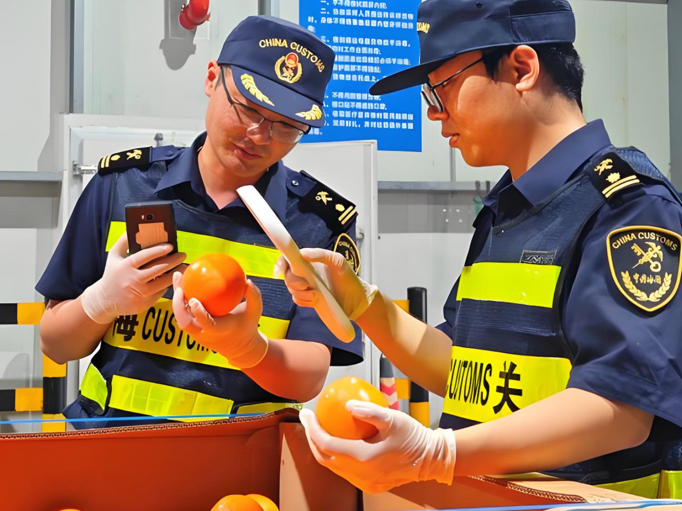 如何成为海南享惠主体企业资格