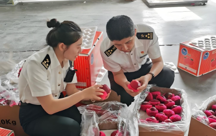 自贸港进出口农产品报关清关