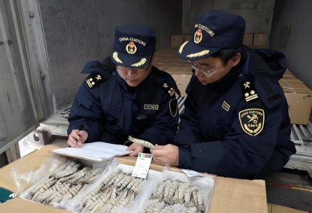 零关税进口活鲜冷虾报关清关