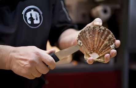 海南进口牡蛎扇贝贻贝零关税通关