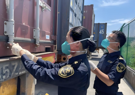 自贸港进口鲭鱼鳀鱼零关税清关