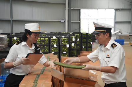 醋或醋酸制作的黄瓜及小黄瓜零关税进口报关