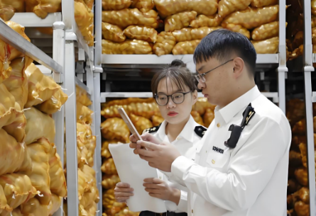 海南零关税进口冷冻马铃薯通关流程