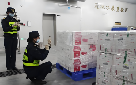 零关税进口混合/未混合蔬菜汁通关流程