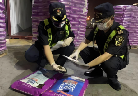 海南零关税进口猫食狗食罐头零食通关