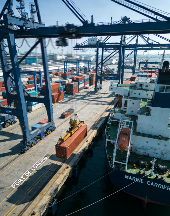 海南自贸港DDP出口报关