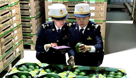 海南自贸港水果进出口报关清关