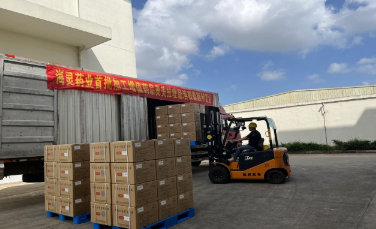 海南零关税医疗外科器械进口清关服务