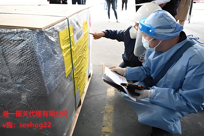 洋浦港报关全攻略：港一报关代理助您规避风险高效通关