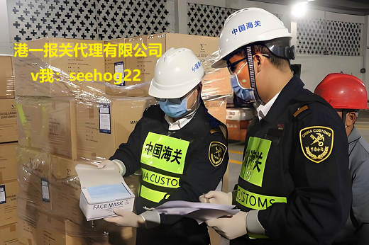 洋浦港报关全流程解析：港一报关代理的专业服务指南