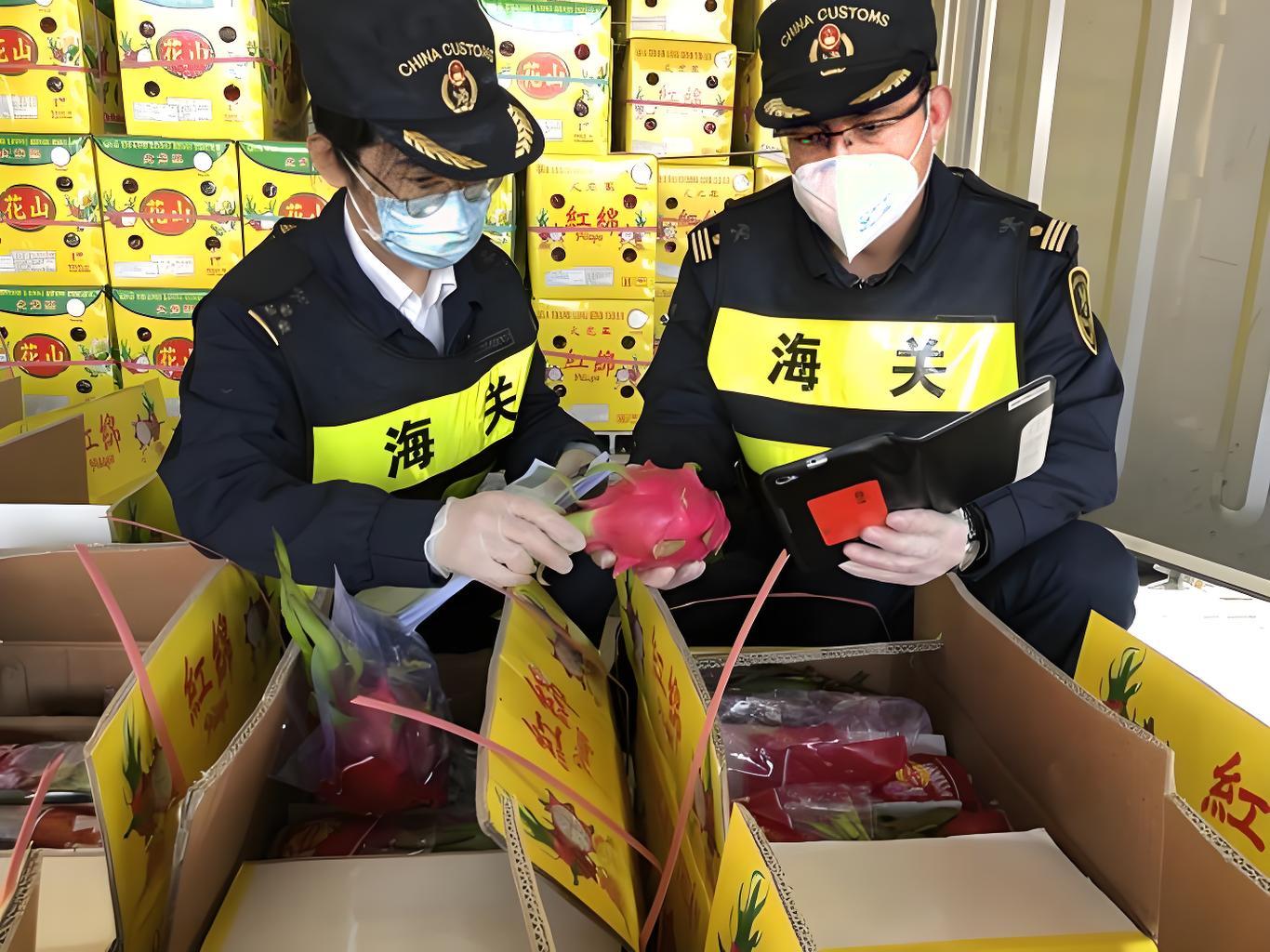 制度型开放视域下的海南报关流程剖析